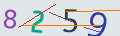 verifycode